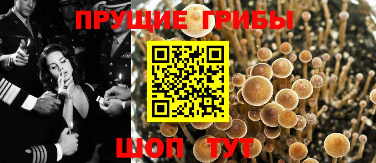 Галлюциногенные грибы MAGIC MUSHROOMS  Псилоцибиновые грибы мицелий  Вход с VPN  Новый Уренгой 