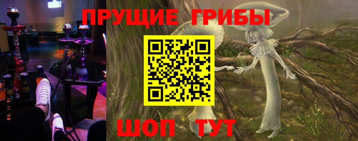Галлюциногенные грибы прущие грибы Новый Уренгой